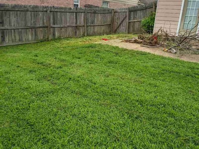 Lawn Care service in Hernando, 38632