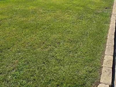 Lawn Care service in Chino, 91710