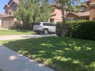 Lawn Care service in Chino, 91710