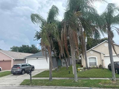 Lawn Care service in Cocoa Beach, 32931