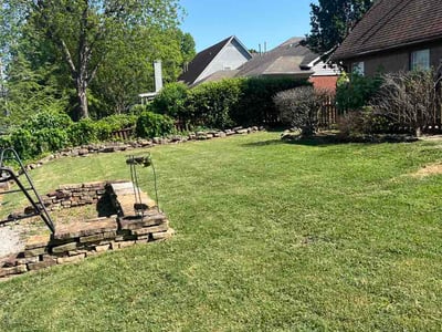 Lawn Care service in Olive Branch, 38654