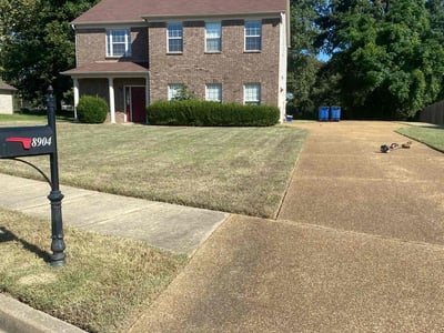 Lawn Care service in Olive Branch, 38654
