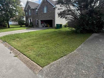 Lawn Care service in Spring Hill, 37174