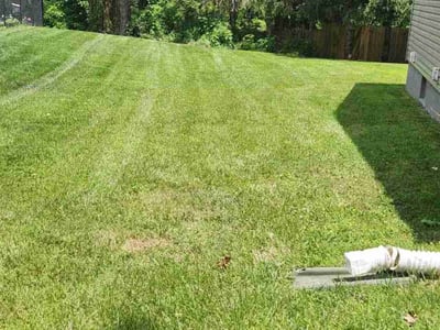 Lawn Care service in West Chester, 19380