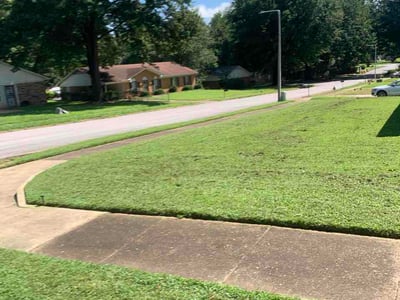 Lawn Care service in Covington, 38019