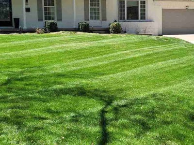 Lawn Care service in Paola, 66071