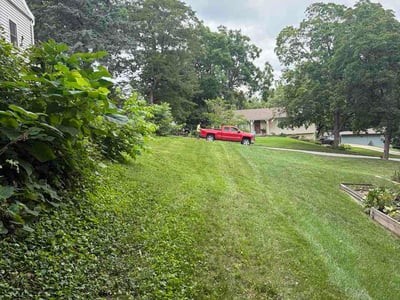 Lawn Care service in Mission, 66202