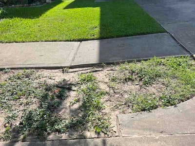 Lawn Care service in Donna, 78537