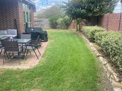 Lawn Care service in Donna, 78537