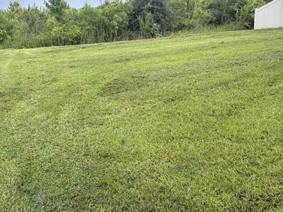 Lawn Care service in Lake Wales, 33853
