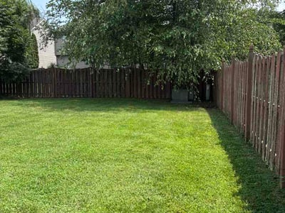 Lawn Care service in Georgetown, 40324