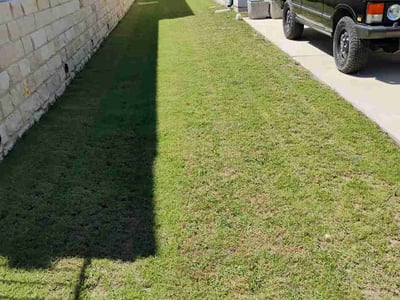 Lawn Care service in Donna, 78537