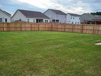 Lawn Care service in Athens, 35611