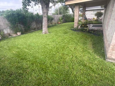 Lawn Care service in Alamo, 78516