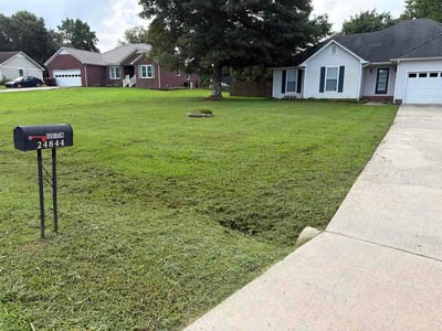 Lawn Care service in Athens, 35611