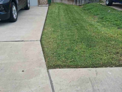 Lawn Care service in Alamo, 78516
