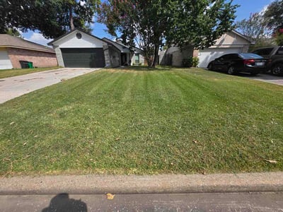 Lawn Care service in Alamo, 78516