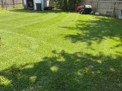 Lawn Care service in Franklin, 46131