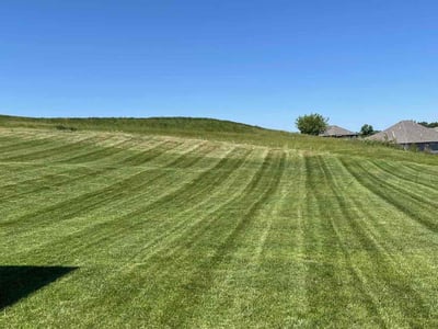 Lawn Care service in Raymore, 64083