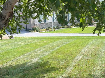 Lawn Care service in Denver, 17517