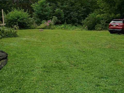 Lawn Care service in Denver, 17517