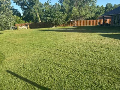 Lawn Care service in Grain Valley, 64029