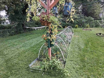 Lawn Care service in Overland Park, 66204