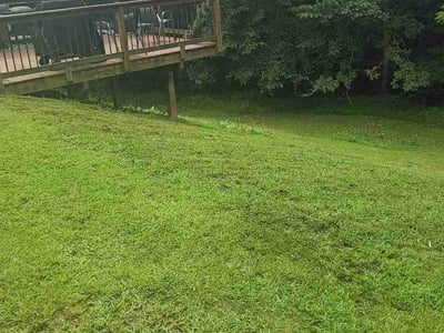 Lawn Care service in Spartanburg, 29306