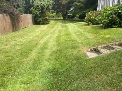 Lawn Care service in Norwich, 06360
