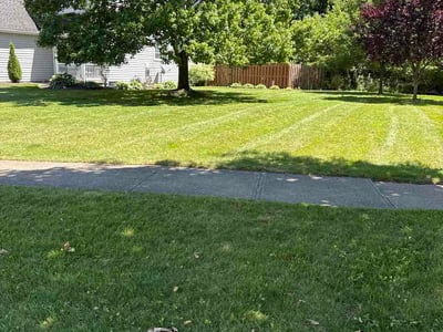 Lawn Care service in Mill Valley, 94941