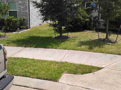 Lawn Care service in Mill Valley, 94941