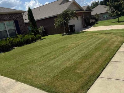 Lawn Care service in Goleta, 93117