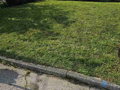 Lawn Care service in New London, 06320