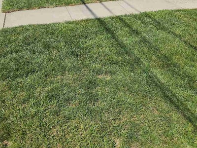 Lawn Care service in New London, 06320