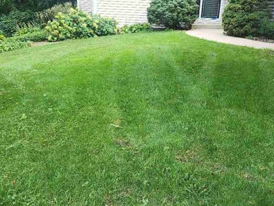 Lawn Care service in Rochester, 55902