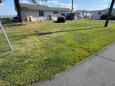 Lawn Care service in Millsboro, 19966