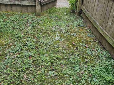 Leaf Removal service in Yukon, 73099