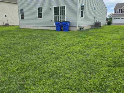 Lawn Care service in ,