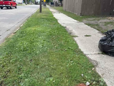 Lawn Care service in Saginaw, 48601