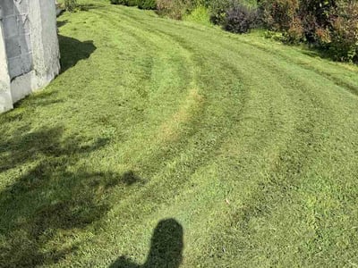 Lawn Care service in Lewes, 19968