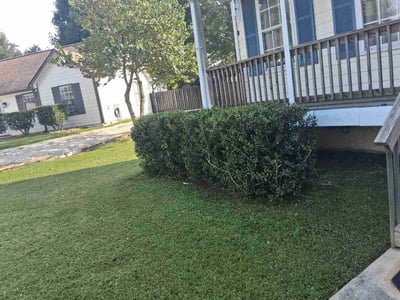 Lawn Care service in Paso Robles, 93446