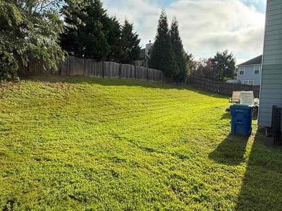 Lawn Care service in Howard Beach, 11414