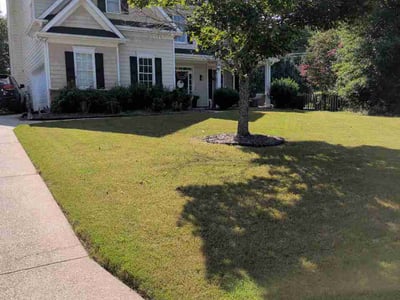 Lawn Care service in Howard Beach, 11414