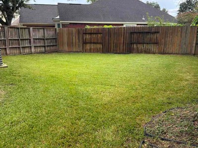 Lawn Care service in Richmond, 94801