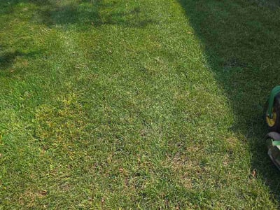 Lawn Care service in Wildwood, 08260