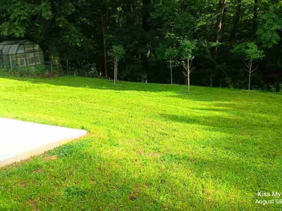 Lawn Care service in Roanoke, 24018