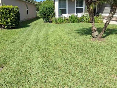 Lawn Care service in Far Rockaway, 11691