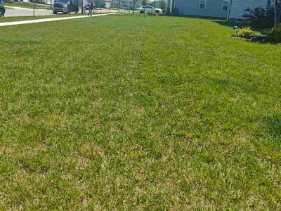 Lawn Care service in Cape May, 08204