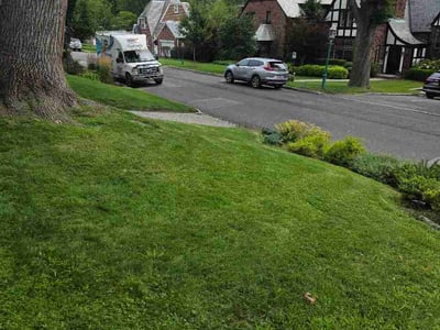 Lawn Care service in Orange, 07050