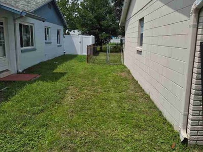 Leaf Removal service in Wesley Chapel, 33543